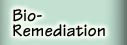 Bio-Remediation